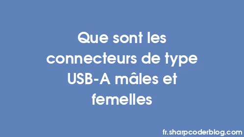 Que sont les connecteurs de type USB-A mâles et femelles - Thumbnail